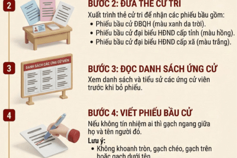 Hướng dẫn quy trình bỏ phiếu bầu cử đại biểu Quốc hội khoá XVI và đại biểu Hội đồng nhân dân các cấp nhiệm kỳ 2026 - 2031.