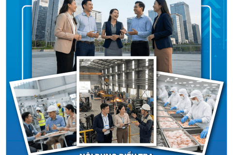 MỘT SỐ THÔNG TIN VỀ TỔ CHỨC TỔNG ĐIỀU TRA KINH TẾ (GIAI ĐOẠN 2)